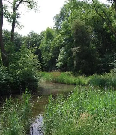 With Terras In Noord *