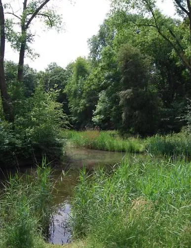 With Terras In Noord *